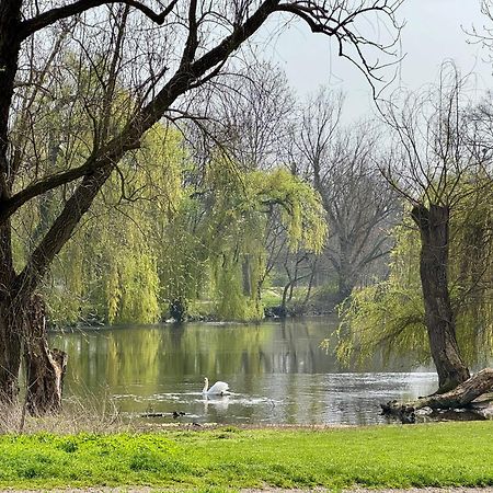 Strasbourg, Appartement Cosy Au Bord De L Eau Exterior foto