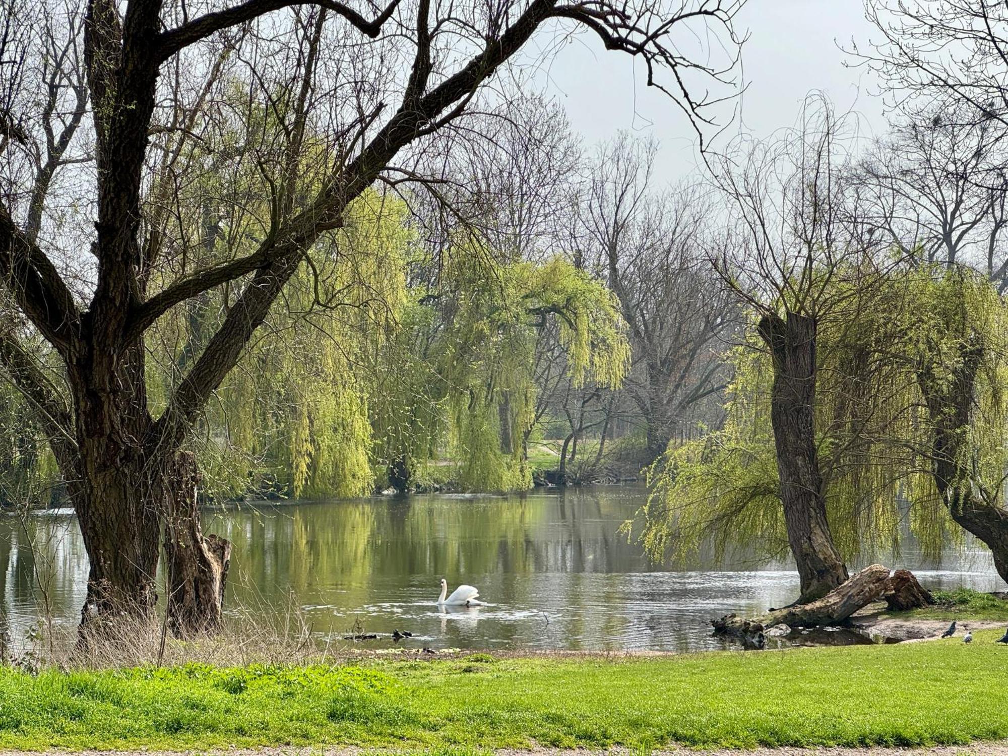 Strasbourg, Appartement Cosy Au Bord De L Eau Exterior foto